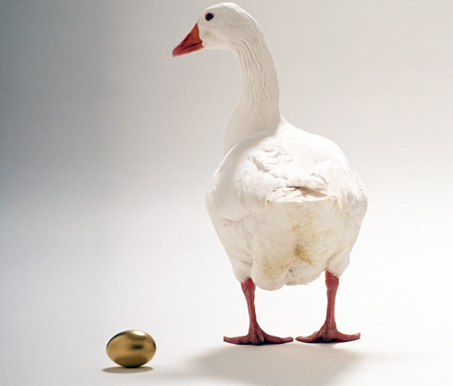 You Rather Have a "Nest Egg" or a Goose that Lays Golden Eggs? | maverickinvestorgroup.com